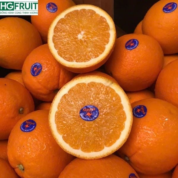  Cam Vàng Navel Úc 