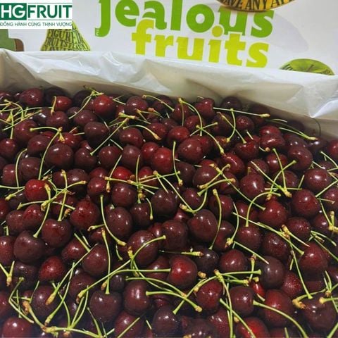  Cherry Đỏ Canada 