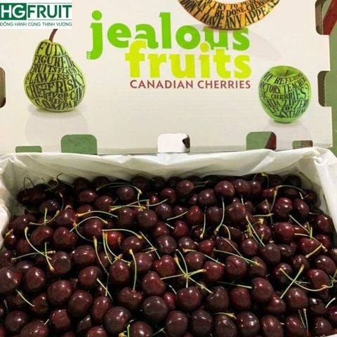  Cherry Đỏ Canada 