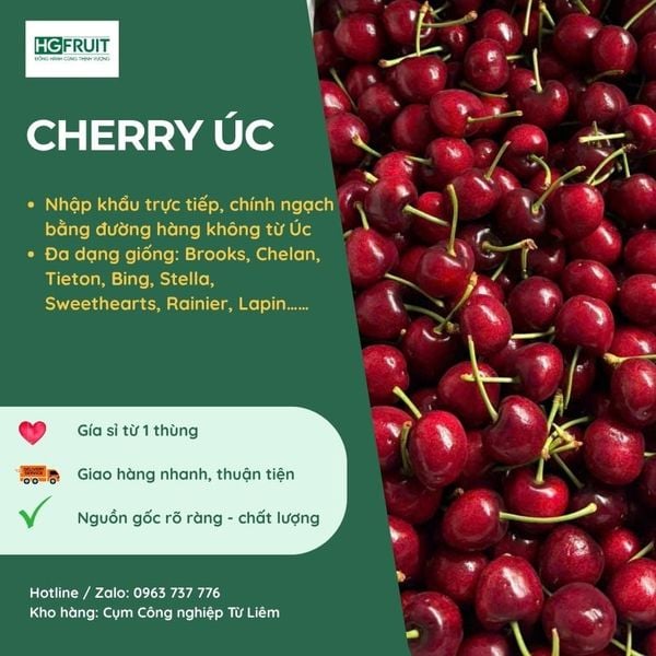 Cherry úc giá sỉ từ hoàng giang fruit