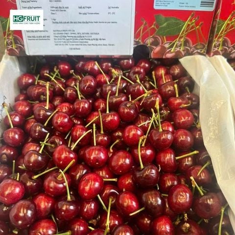  Cherry Đỏ Úc - Australian Cherries 