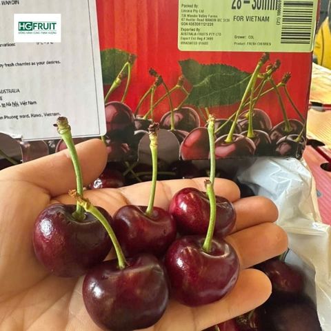  Cherry Đỏ Úc - Australian Cherries 