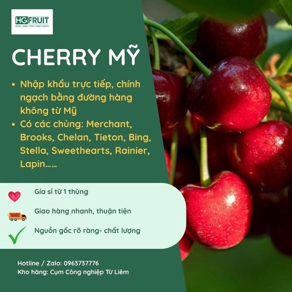 Cherry Mỹ nhập khẩu chính ngạch tại Hoàng Giang Fruit