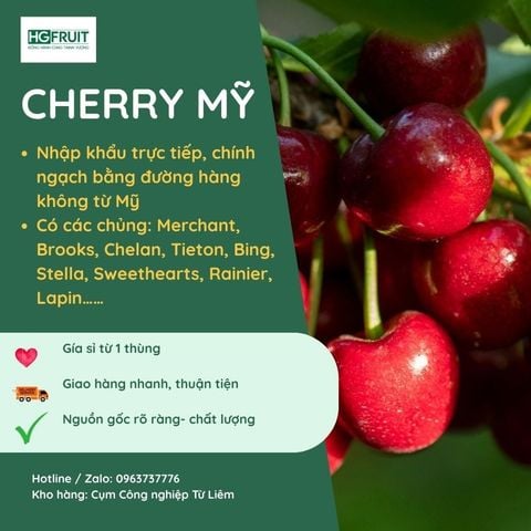  Cherry Mỹ 