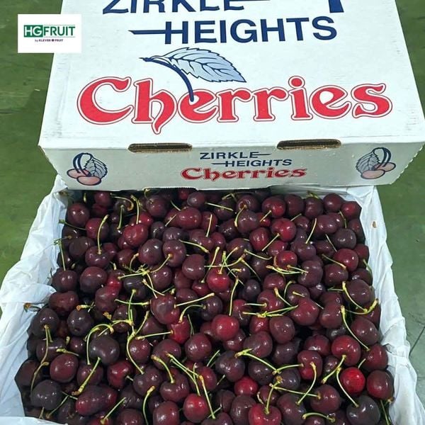 Cherry Mỹ Khỉ