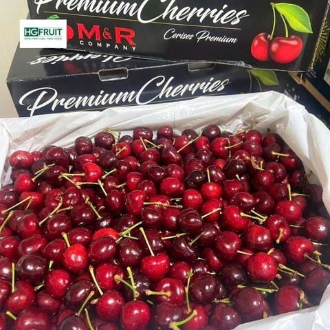  Cherry Mỹ 