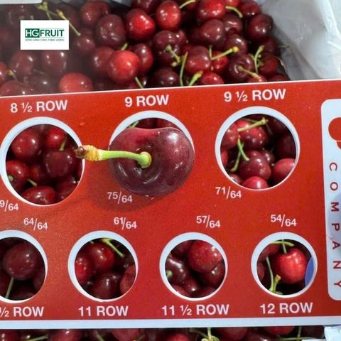  Cherry Mỹ 