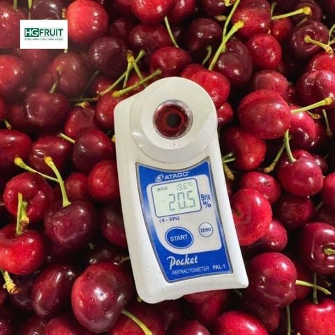 Cherry Mỹ 