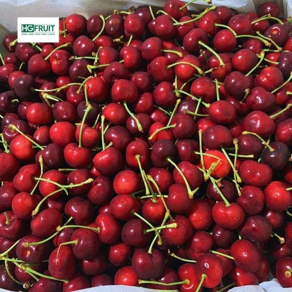 Cherry Mỹ nhập khẩu chính ngạch tại Hoàng Giang Fruit