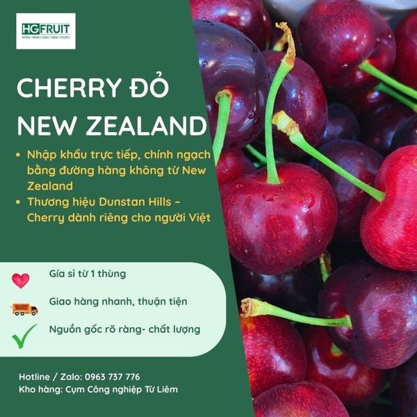 Cherry New Zealand Giá Sỉ Tốt Giao Nhanh Từ 1 Thùng