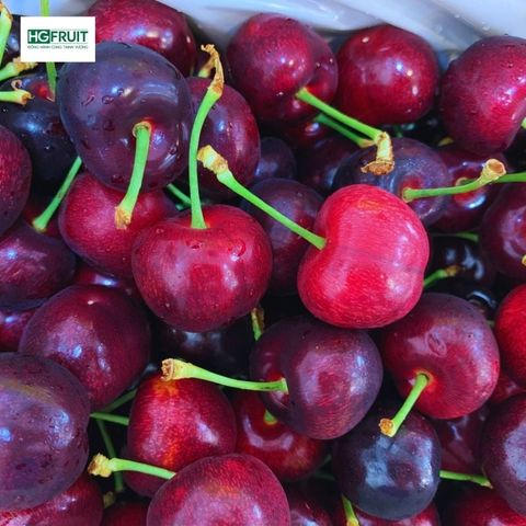  Cherry New Zealand 