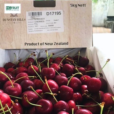  Cherry New Zealand 