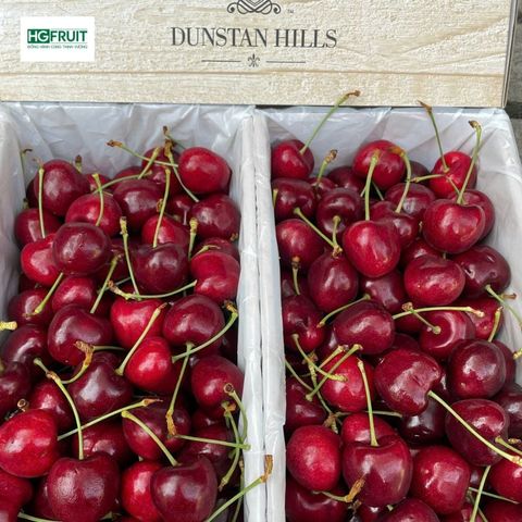  Cherry New Zealand 
