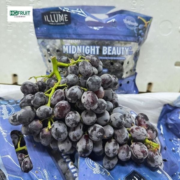 Nho đen không hạt Mỹ giá sỉ tại Hoàng Giang Fruit