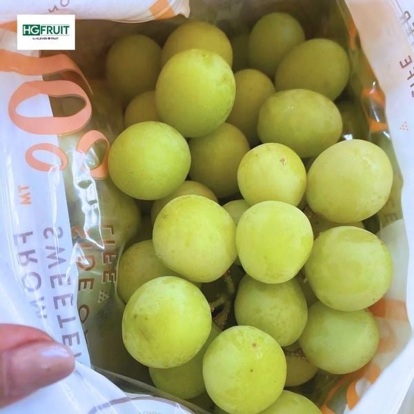 Nho xanh Úc Hello giá sỉ tại Hoàng Giang Fruit