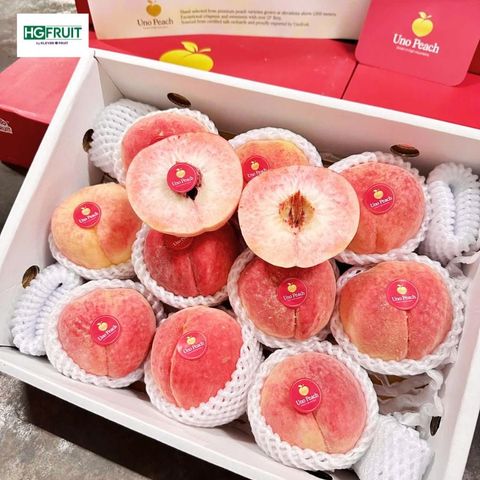  Đào Thiên Sơn Nội Địa Trung 