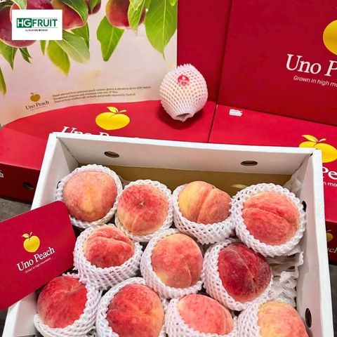  Đào Thiên Sơn Nội Địa Trung 