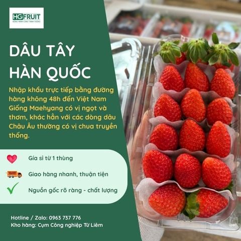  Dâu Tây Hàn Quốc 