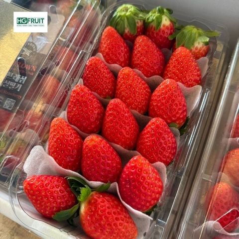  Dâu Tây Hàn Quốc 