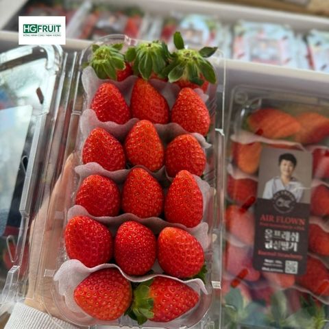  Dâu Tây Hàn Quốc 