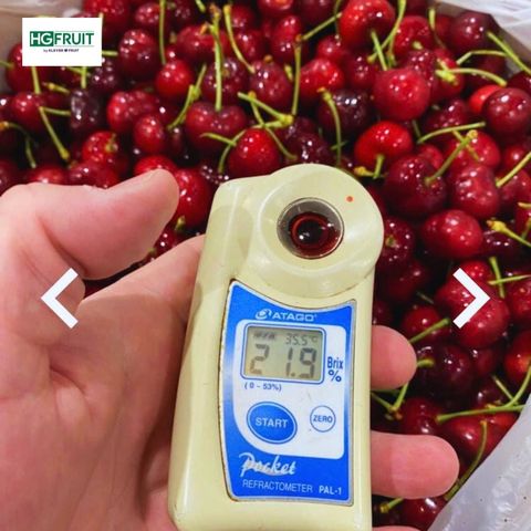  Cherry Mỹ 