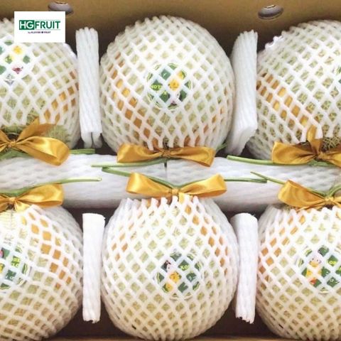  Dưa Giống Nhật Kobe Melon 