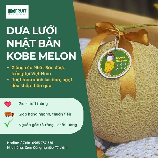 Dưa lưới kobe melon