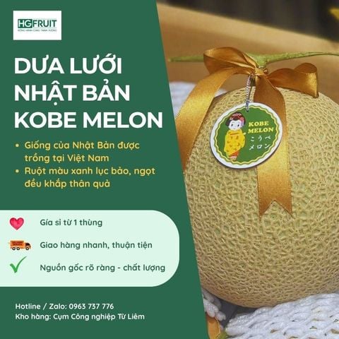  Dưa Giống Nhật Kobe Melon 
