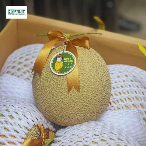  Dưa Giống Nhật Kobe Melon 