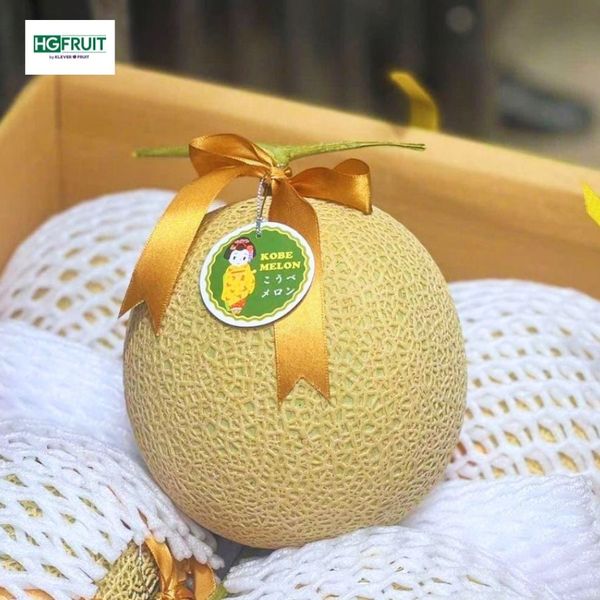Dưa Giống Nhật Kobe Melon