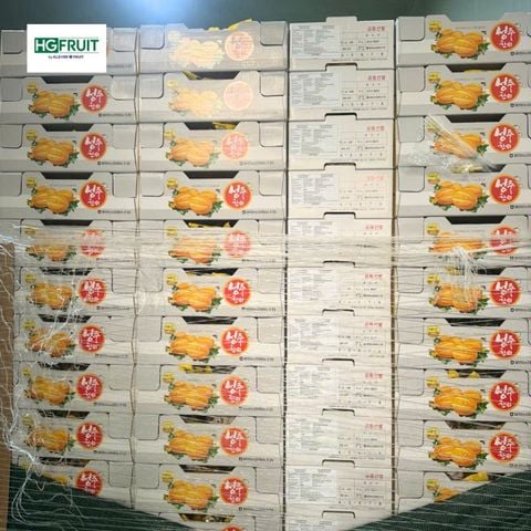  Dưa Lê Hàn Quốc 