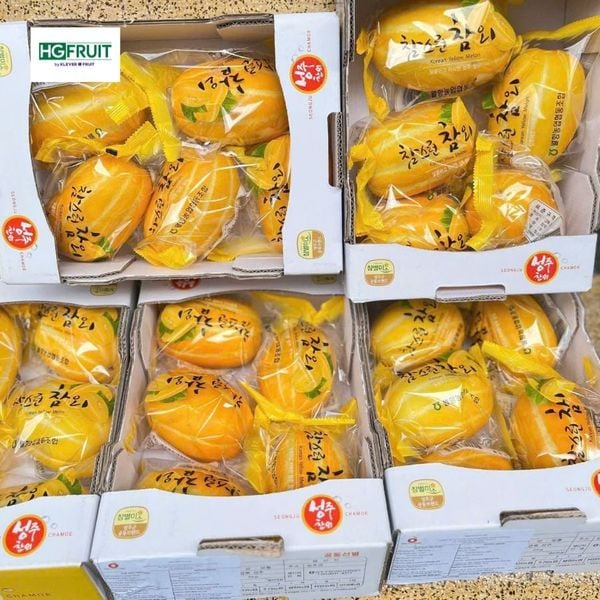 Dưa vàng hàn quốc