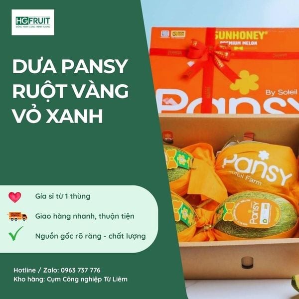 Dưa lưới Pansy ruột cam giá sỉ tại Hoàng Giang Fruit