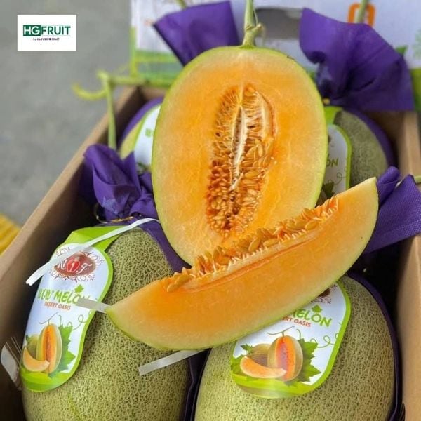 Dưa Lưới Wow Melon