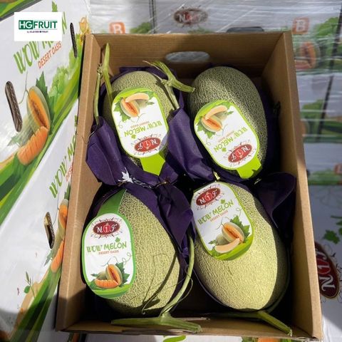  Dưa Lưới Wow Melon 