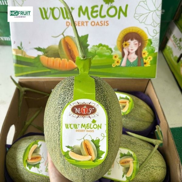 Dưa Lưới Wow Melon