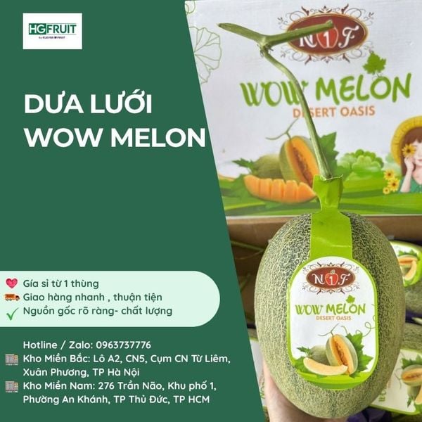 Dưa Lưới Wow Melon