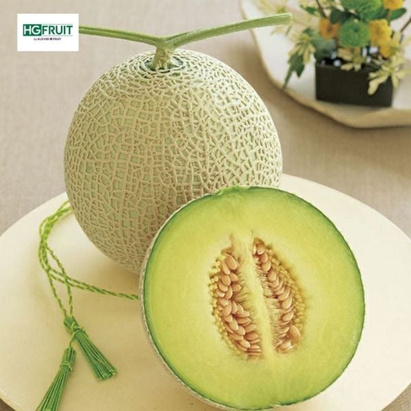 Dưa Musk Melon