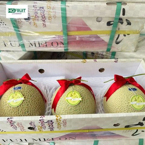 Dưa Giống Nhật Musk Melon 