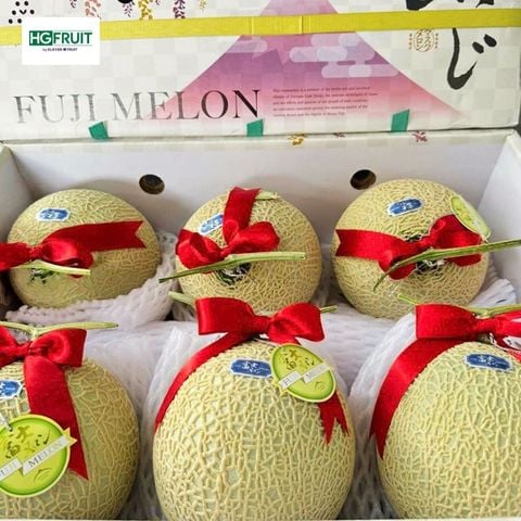  Dưa Giống Nhật Musk Melon 