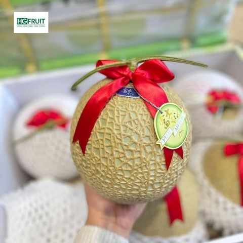  Dưa Giống Nhật Musk Melon 
