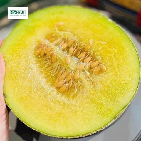  Dưa Giống Nhật Musk Melon 