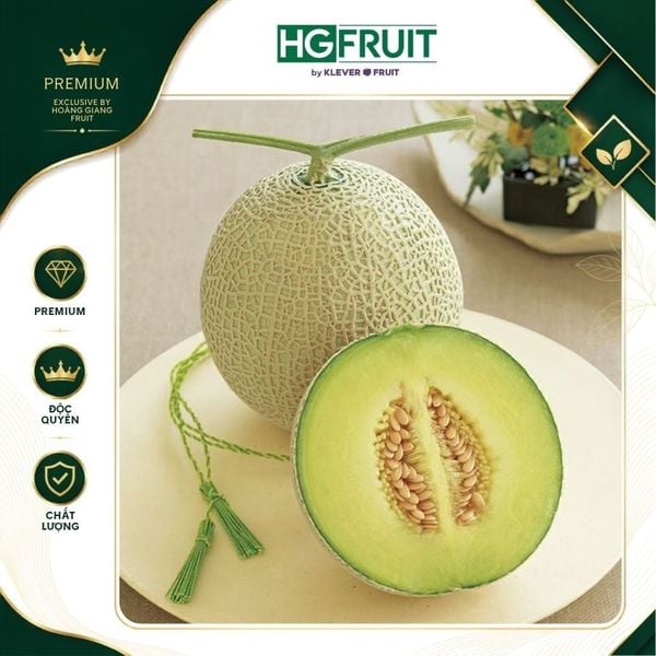 Dưa Musk Melon Nhật Bản
