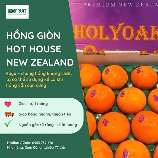 Hồng Hot House New Zealand giống Fuyu