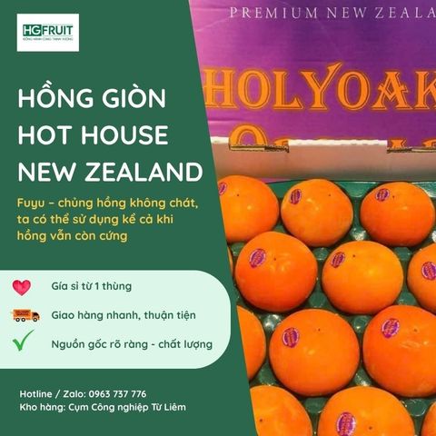  Hồng Hot House New Zealand 