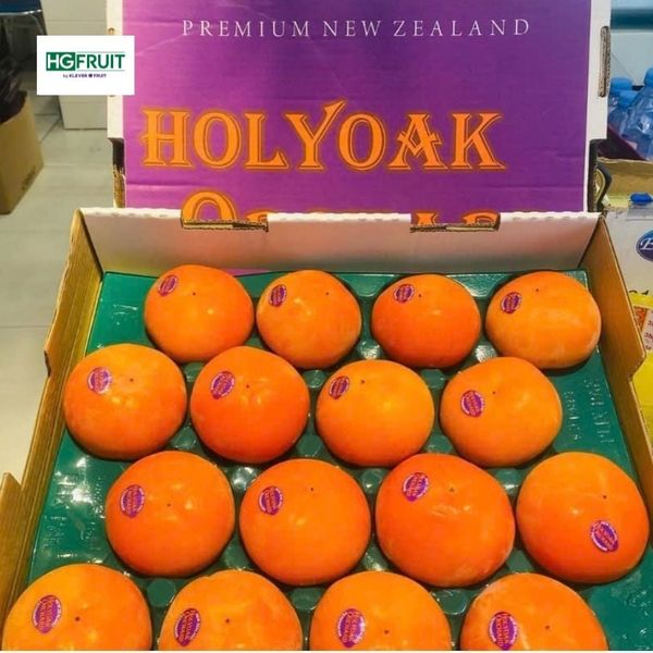 Hồng Hot House New Zealand