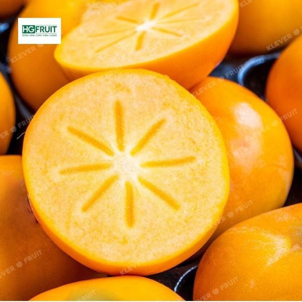 Hồng Hot House New Zealand giống Fuyu