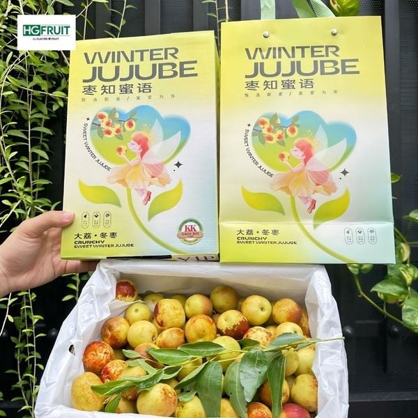 Hồng Táo Tươi Jujube Giá Sỉ