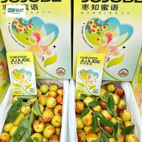  Hồng Táo Tươi JuJuBe 