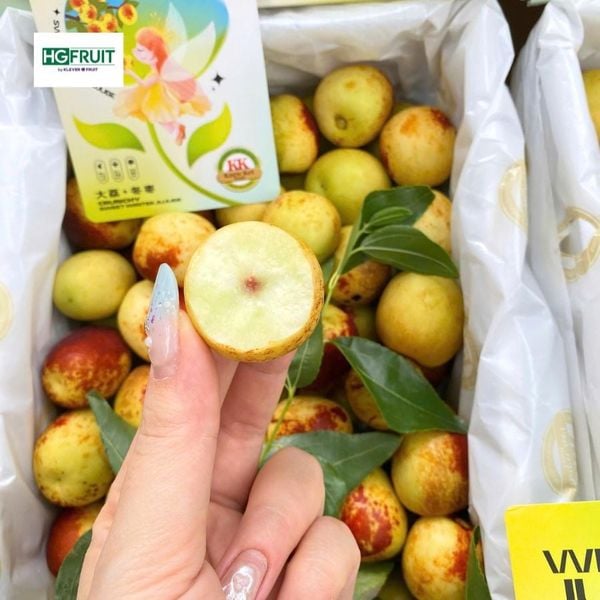Hồng Táo Tươi Jujube Giá Sỉ